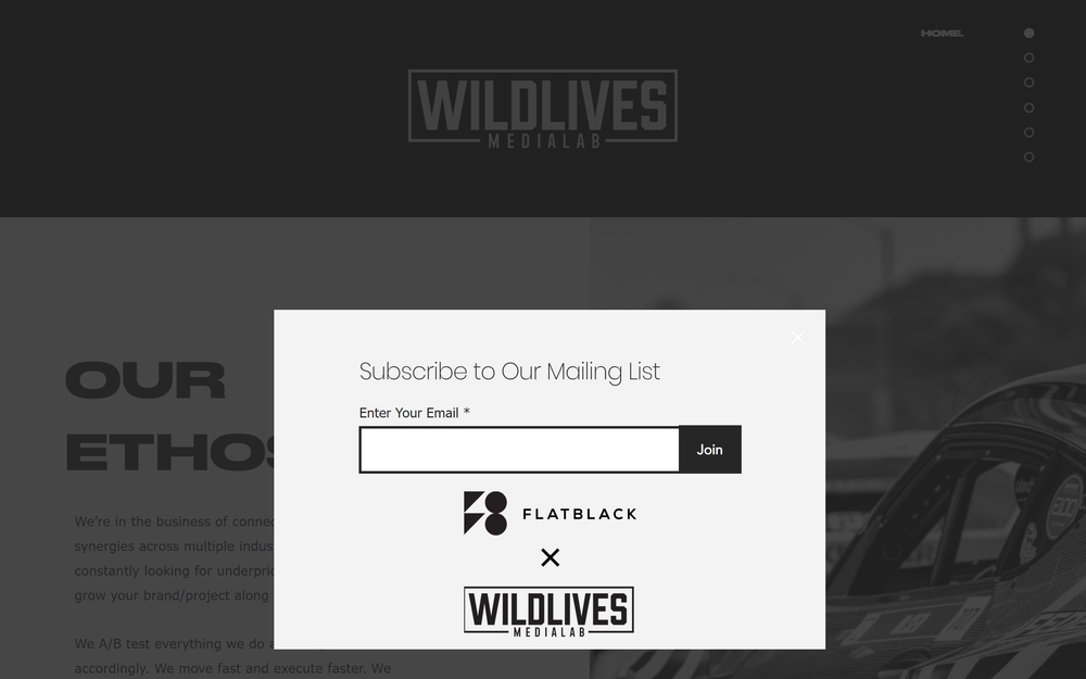 img of B2B Digital Marketing Agency - Wildlives Medialab